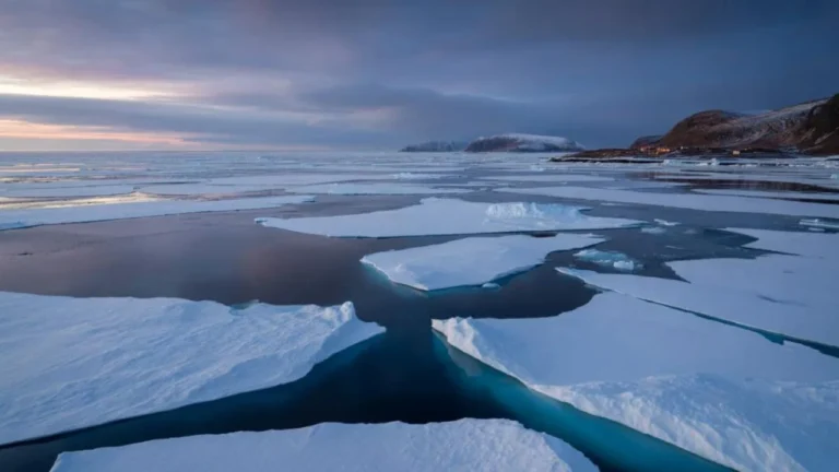 Arctic Collapse February 2026